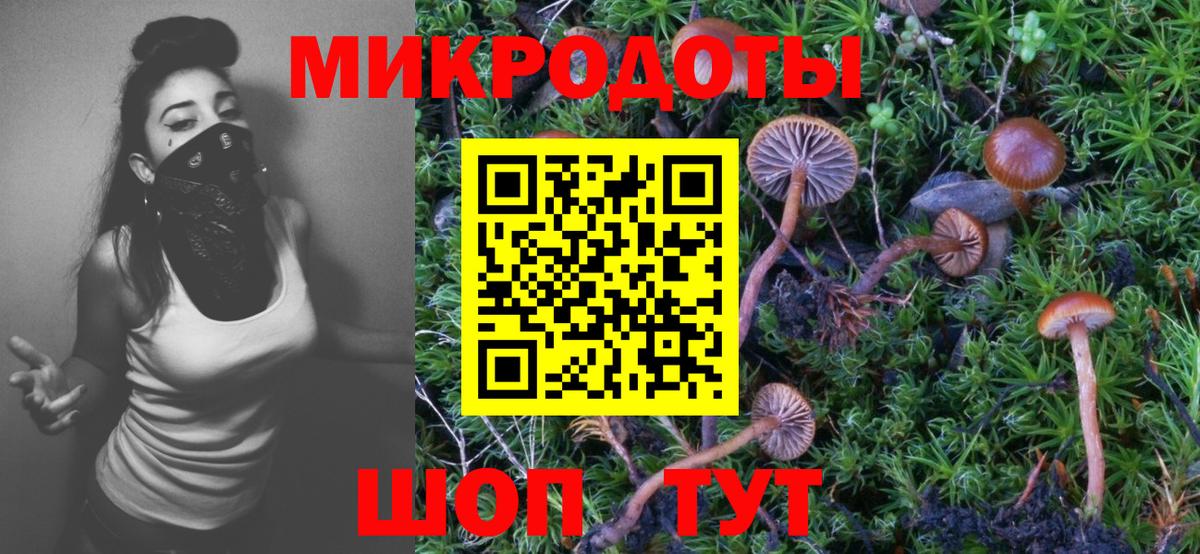 Псилоцибиновые грибы мицелий  где купить наркотик  Семёнов  Псилоцибиновые грибы MAGIC MUSHROOMS  Вход с VPN 