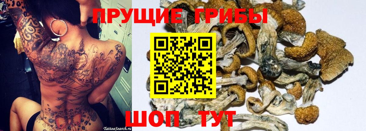 Галлюциногенные грибы прущие грибы Семёнов